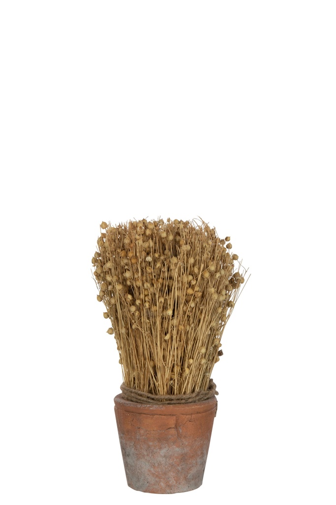Lin séché dans un pot en terre cuite