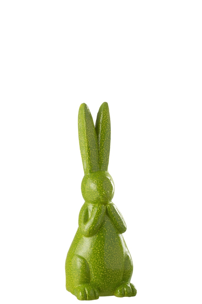 Lapin d'extérieur Mgo vert