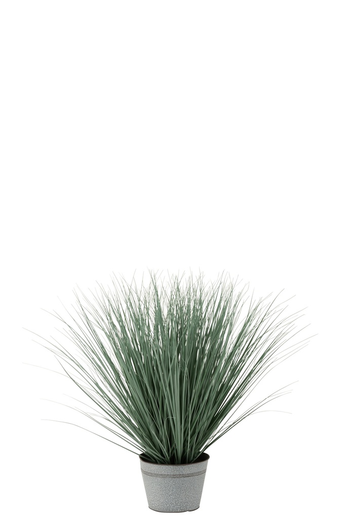 Graminées en pot métal plastique