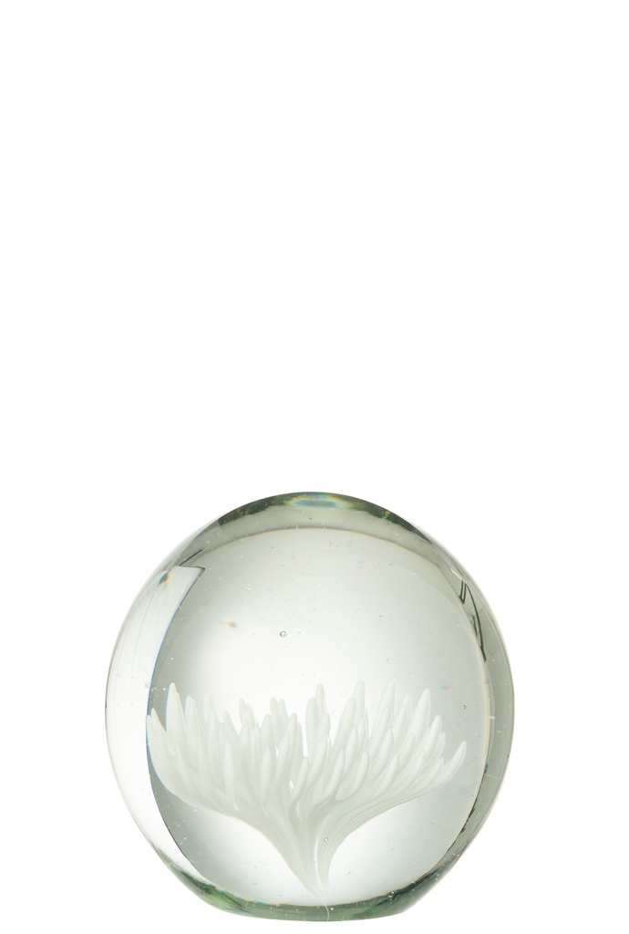 Presse-papier Aster Rond Verre Transparent/Blanc