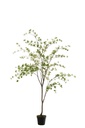 Plante à feuilles fines en plastique vert/noir