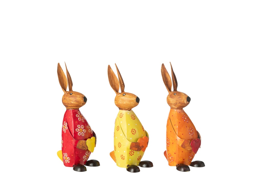 Mélange de fer pour lapin tenant un cœur