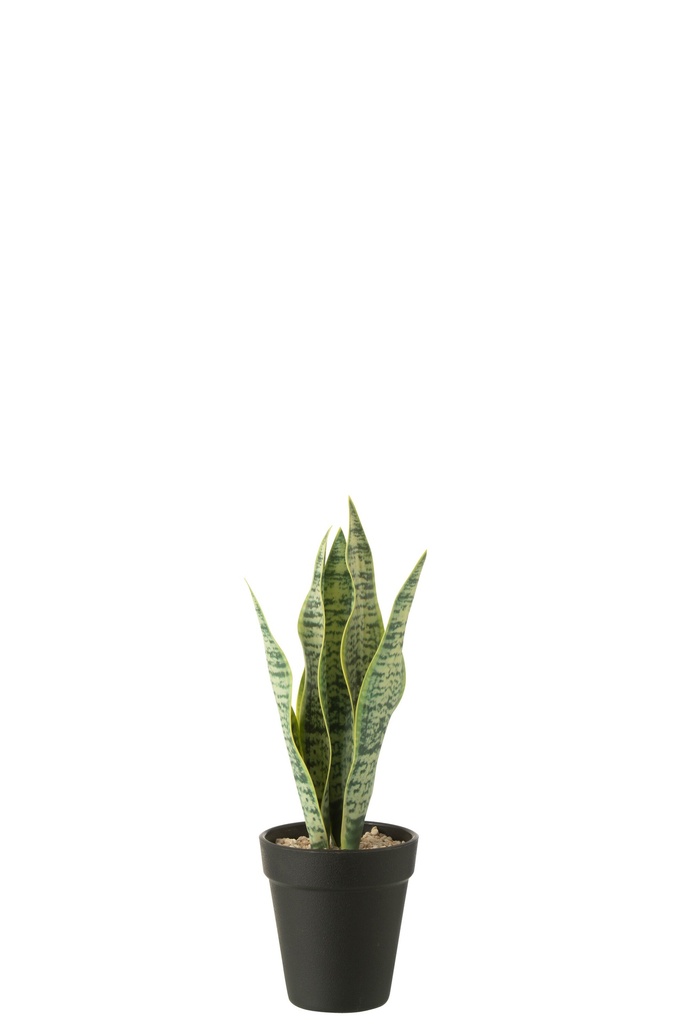 Dracaena Trifasciata en pot artificiel