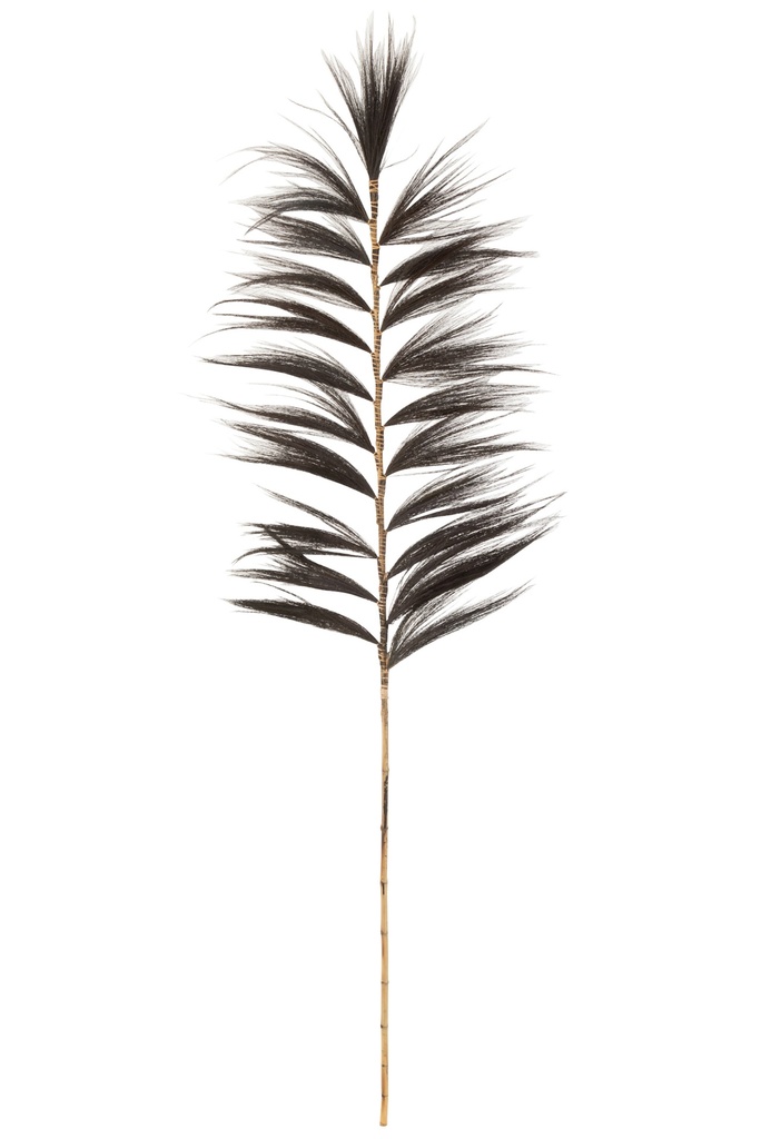 [20742] Branch Rayung Grass Black