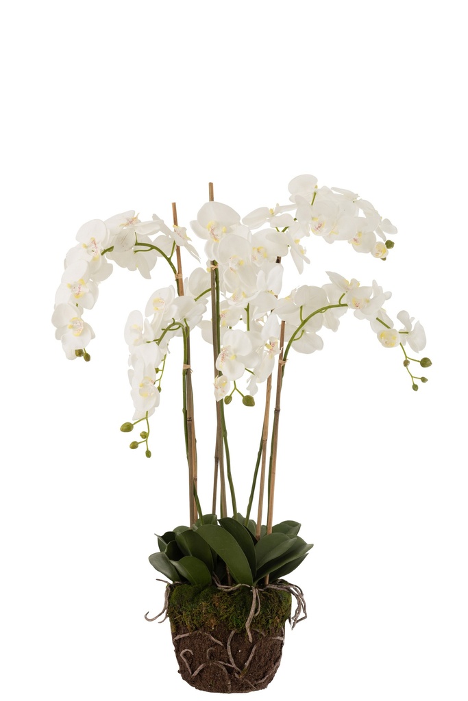 Orchidée en terre plastique blanche/verte