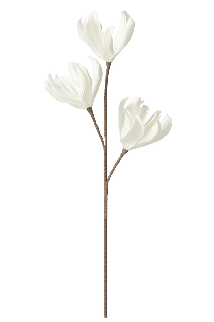 Branche de fleurs à feuilles courtes 3