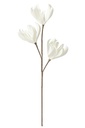 Branche de fleurs à feuilles courtes 3