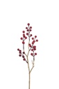 Baies de branche en plastique rouge/or