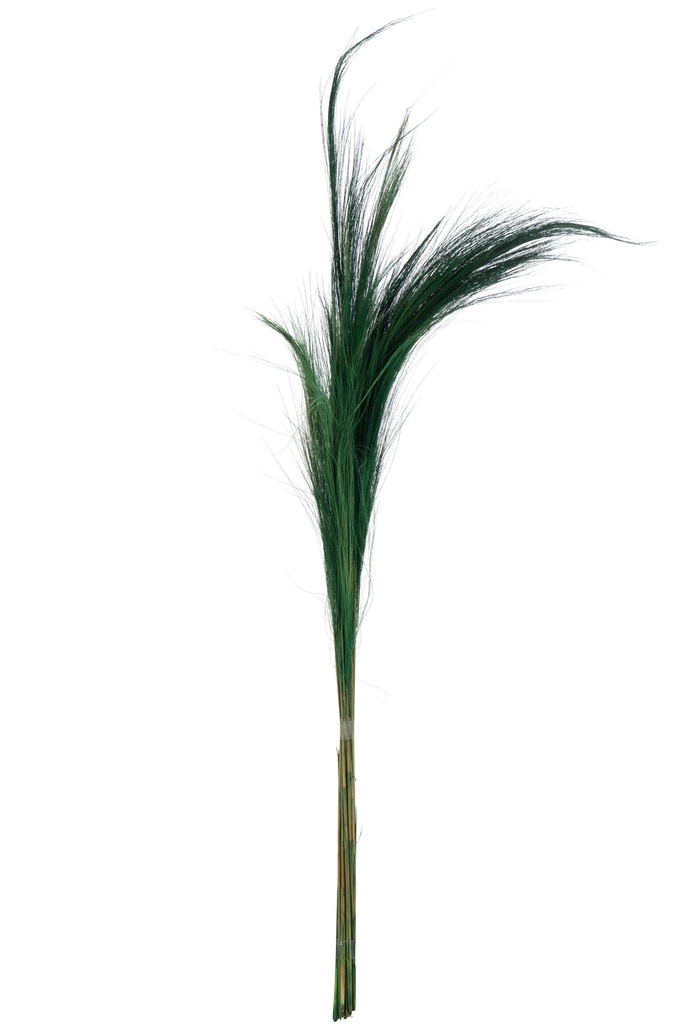 Paquet de 15 herbes colorées