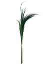 Bundle Of 15 Colored Grass