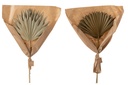 Dried Palm Tree Leaves 2