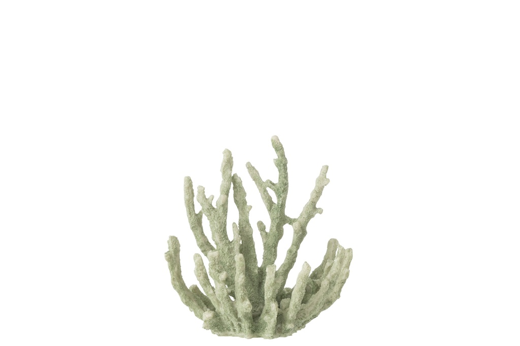 Coral Polyresin Mint Green Medium