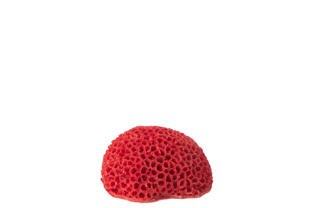 [60039] Coral Polyresin Red Small