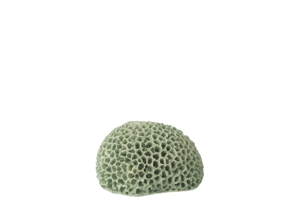 [60025] Coral Polyresin Mint Green Small