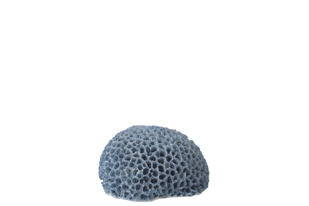 Coral Polyresin Light Blue Small