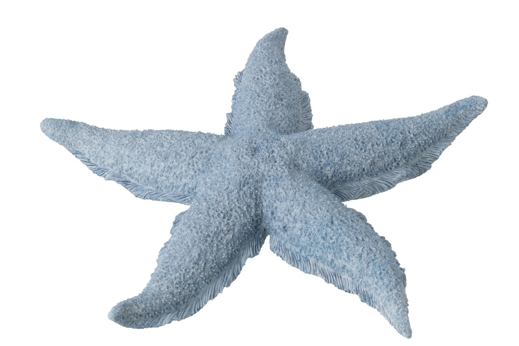 Starfish Polyresin Light Blue Large