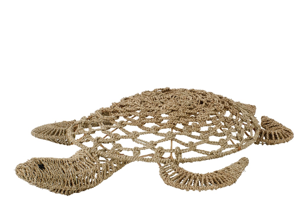 Wall Object Turtle Seagrass Natural