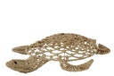 Wall Object Turtle Seagrass Natural
