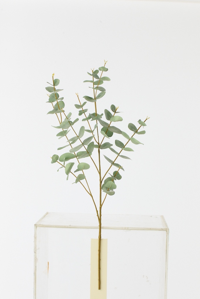 [64464] Eucalyptus Textile Green