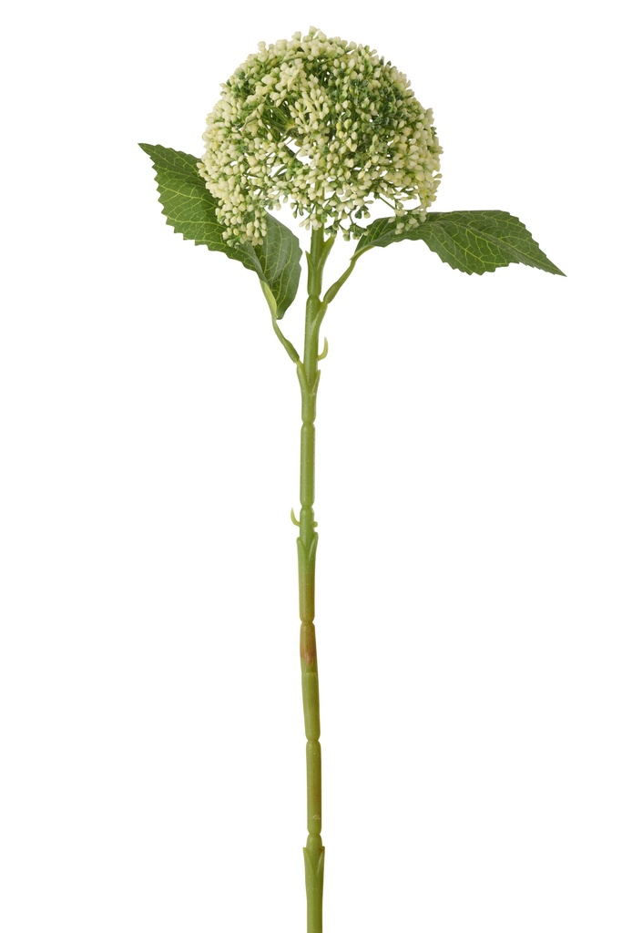 Hydrangea PVC Light Green