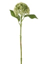 Hydrangea PVC Light Green