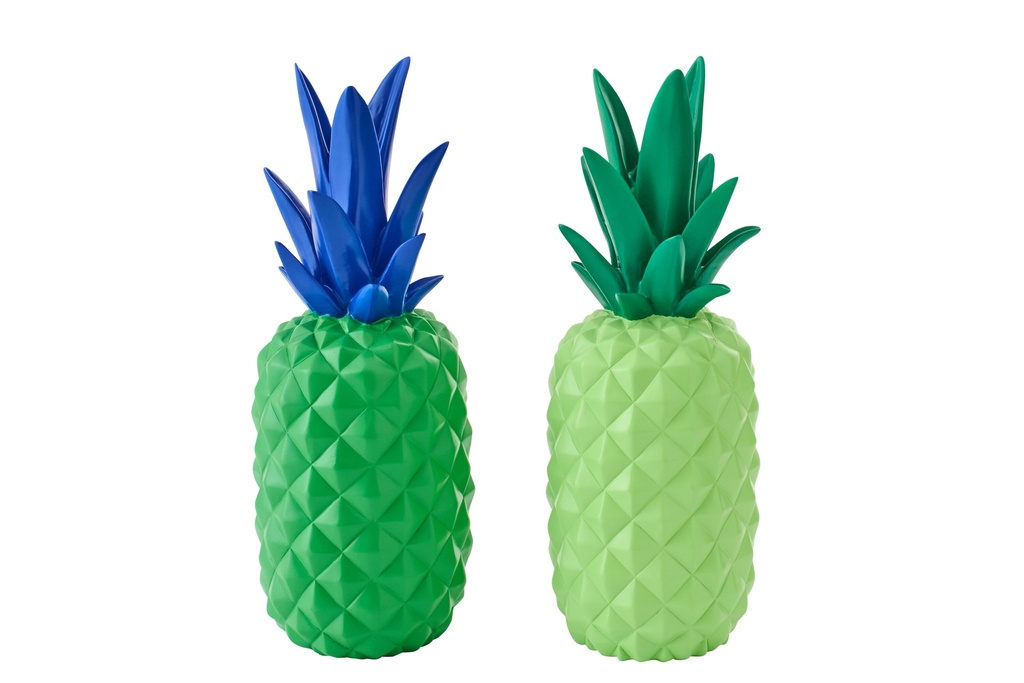 [60224] Pineapple Limepowder Green/Blue Assortment Of
