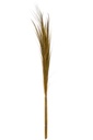 Bundle Of 15 Colored Grass