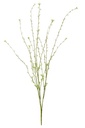 Bunch Of Flowers PVC White