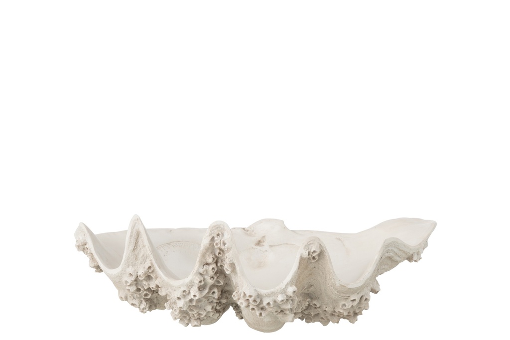 Decorative Bowl Seashell Resin Off-White