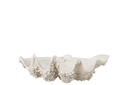 Decorative Bowl Seashell Resin Off-White