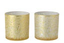 Hurricane Leafs Glass Gold Colored/White
