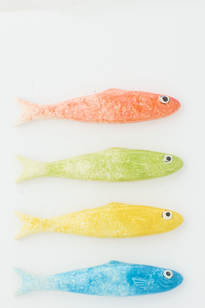 Fish Ceramic Multi Assortment Of