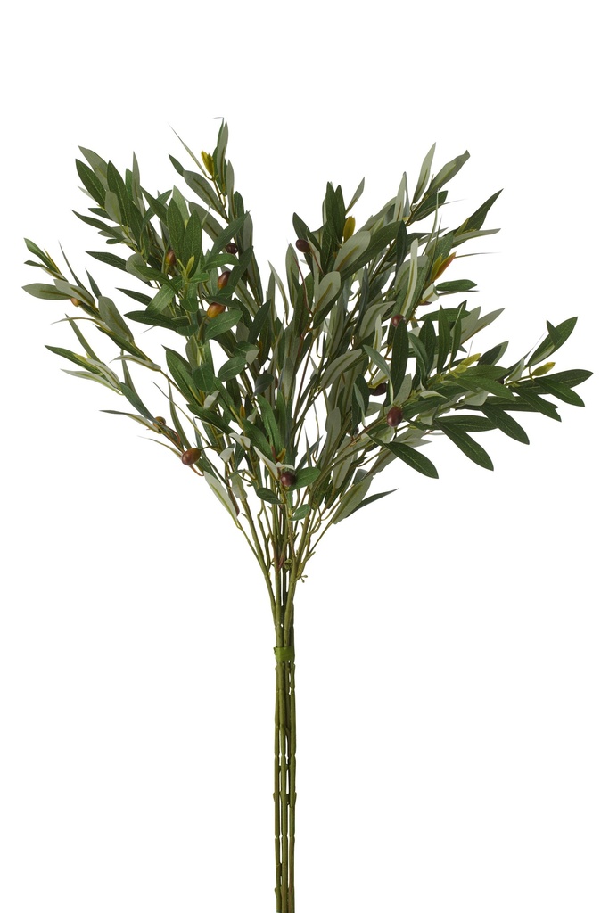 Bundle Of 5 Olive Branch