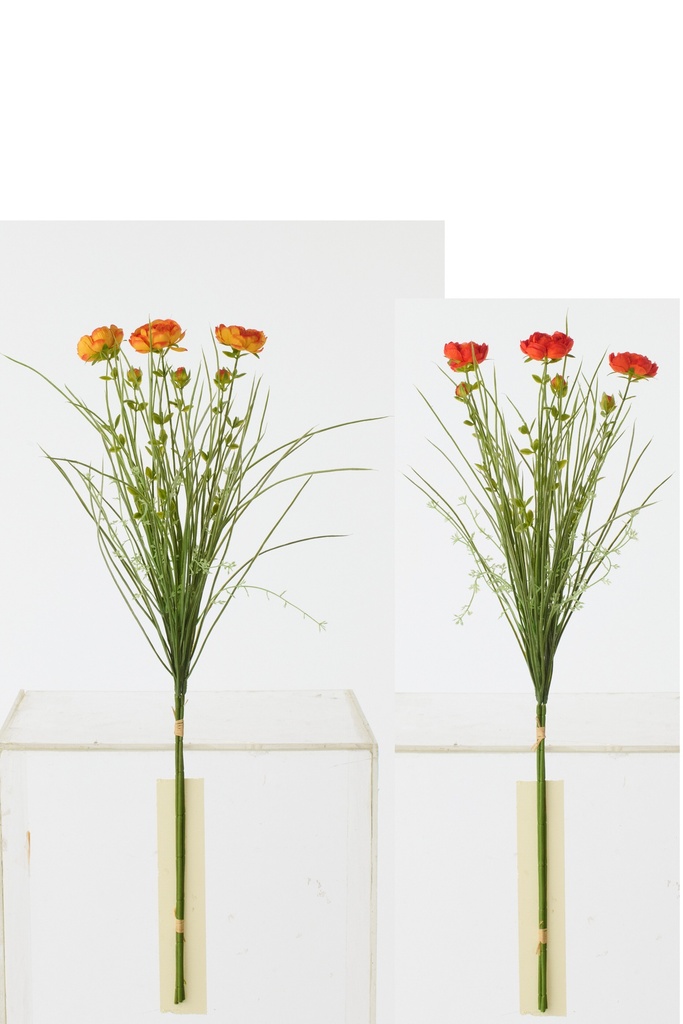 Bundle Of 3 Ranunculus With