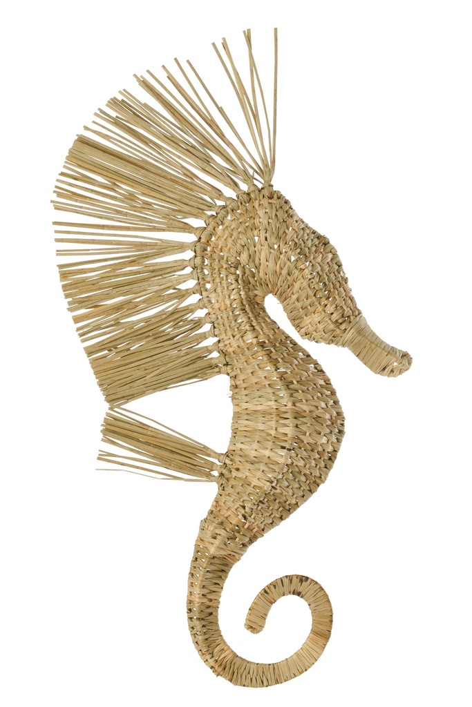 Wall Object Seahorse Grass Natural