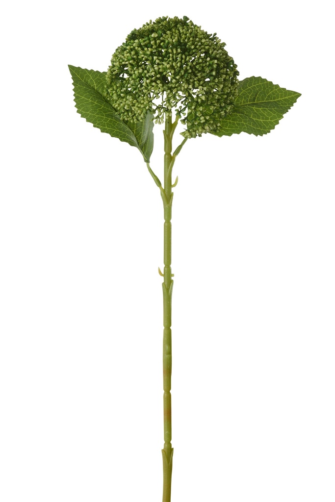 Hydrangea PVC Green