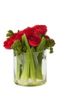 Ranunculus In Vase Fabric Red/Transparent