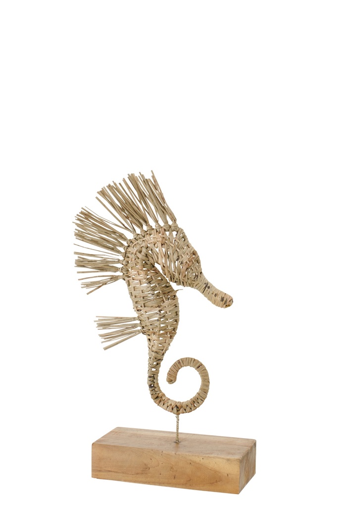 Seahorse On Foot Grass Natural