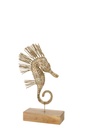 Seahorse On Foot Grass Natural