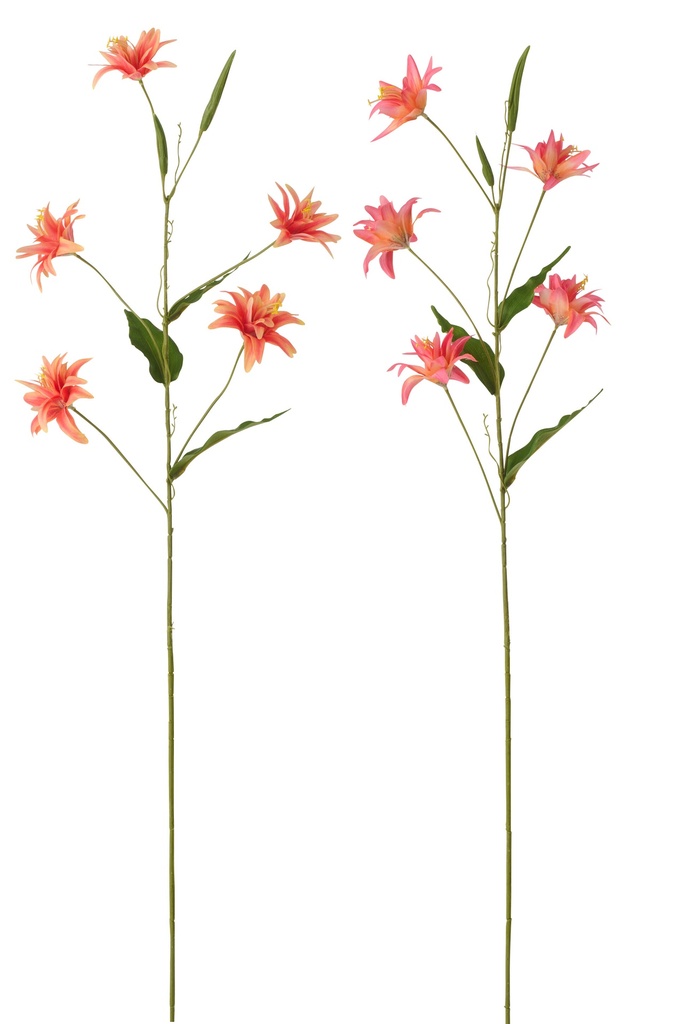 Lily Textile Dark Orange Assortment