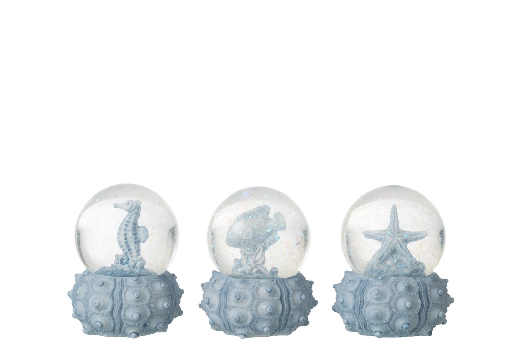 Water Globe Sea Polyresin Light