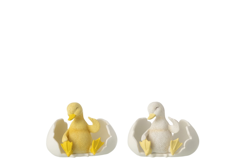 Duck In Egg Shell Resin
