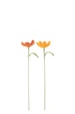 Flower Crochet Polyester Orange Assortment