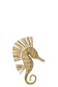 Wall Object Seahorse Grass Natural