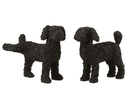 Dog Max Poly Black Assortment