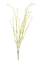 Bunch Of Flowers PVC Yellow