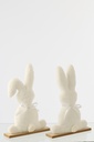 Rabbit Polyester White Large Assortment