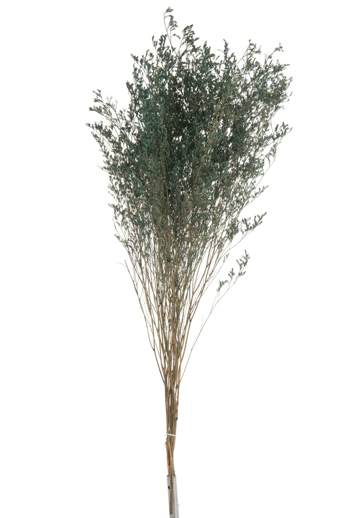 Bouquet de lavande de mer séchée grise