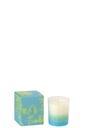 Scented Candle Oasis Wax Blue/Green