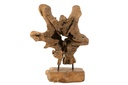 Tree Teak Wood Natural